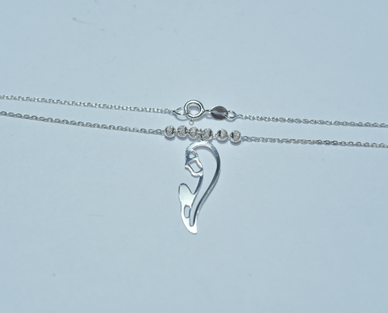 Collar de plata de madonna