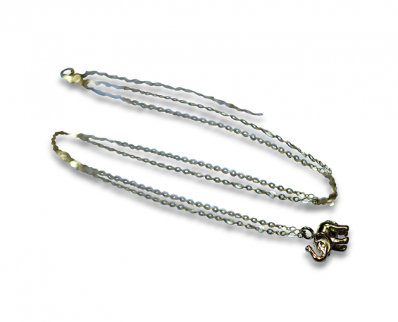COLLAR DE ELEFANTE
