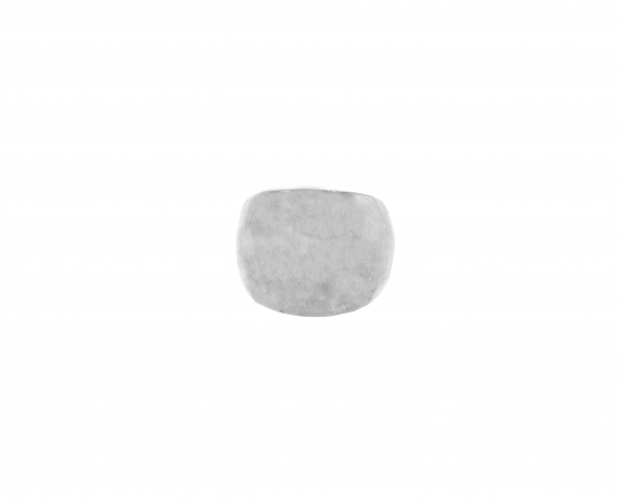 ANILLO DE ACERO INOXIDABLE