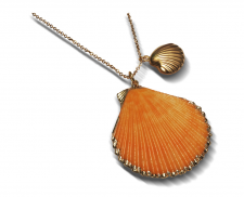 Collar concha amarilla