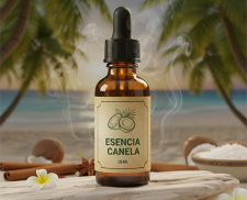 ESENCIA JAPONESA 16 ML COCO CANELA