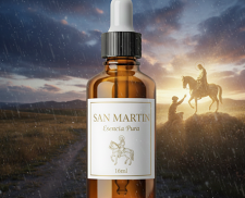 ESENCIA JAPONESA 16 ML SAN MARTÍN